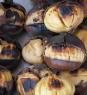 Sagra delle Bruciate e del Vino Novello a Prato, Si Gusteranno Castagne Arrostite, Castagnaccio, Frittelle - Prato (PO)