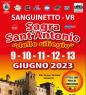 Sagra Di Sant'antonio, Sagra Delle Ciliegie Di Sanguinetto - Sanguinetto (VR)