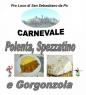 Carnevale Dei Bambini, Carnevale 2019 A San Sebastiano - San Sebastiano Da Po (TO)