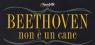 Paolo Migone, In Beethoven Non è Un Cane - 2^ Stagione -  ()