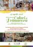 Mercatino Di Primavera, Mostra mercato Colori di Primavera a Fregona - Fregona (TV)