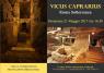 Area Archeologica Del Vicus Caprarius, Roma Sotterranea - Roma (RM)