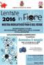 Lentate In Fiore, Edizione 2016 - Lentate Sul Seveso (MB)