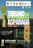 Mostra Provinciale Dell'asparago, Festa Dell'asparago Di Tribano - Tribano (PD)