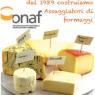 Corso Di Degustazione Formaggi, tenuto dall'associazione ONAF - Due Carrare (PD)