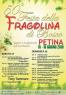 Sagra Della Fragolina Di Bosco, Festa A Petina Per Il Delizioso Frutto - Petina (SA)