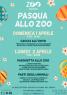 Zoo Di Napoli, E’ Un Natale Speciale Allo Zoo Di Napoli!! - Napoli (NA)