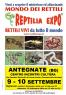 Reptilia Expo - L'affascinante Mondo Dei Rettili, Rettili Vivi Da Tutto Il Mondo - Antegnate (BG)