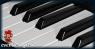 Duo Maclé, Prossimi Concerti -  ()