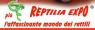Reptilia Expo, Rettili Vivi Da Tutto Il Mondo In Mostra - Concesio (BS)