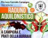 Raduno Aquilonistico, Edizione 2017 - Santa Sofia (FC)