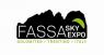 Fassa Sky Expo, La 4^ Fiera Del Volo Nelle Dolomiti - Campitello Di Fassa (TN)
