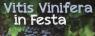 Sagra Dell'Uva Di Longiano, Vitis Vinifera In Festa 2018 - Longiano (FC)