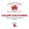 Colori D'Autunno, Il Foliage Della Vite Del Sagrantino - 6^ Edizione -  ()