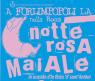 Notte Rosa Maiale, A Forlimpopoli Per La Festa Di Sant'antonio - Forlimpopoli (FC)