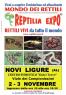 Reptilia Expo a Novi Ligure, L'affascinante Mondo Dei Rettili - Serpenti E Rettili Da Tutto Il Mondo In Mostra - Novi Ligure (AL)