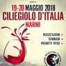Ciliegiolo D'italia, A Narni: Vini E Aziende, Degustazioni Guidate, Seminari E Cooking Show - Narni (TR)