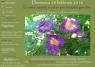 L'orto Sinergico E Le Rose Antiche, Le rose: varietà e colori per il nostro giardino - Acquapendente (VT)