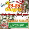 Umbria E Cactus Mosta mercato di Piante Grasse , Fiera Delle Piante Grasse - Attigliano (TR)