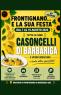 Frontignano e la sua Festa, Edizione 2026 - Barbariga (BS)