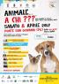 Animale A Chi???, Una Giornata In Piazza Con E Per Il Tuo Migliore Amico - Perugia (PG)