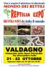 Reptilia Expo, L'affascinante Mondo Dei Rettili - Rettili Vivi Da Tutto Il Mondo A Valdagno - Valdagno (VI)