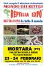 Reptilia Expo - L'affascinante Mondo Dei Rettili - Mortara (pv), Rettili Vivi Da Tutto Il Mondo - Mortara (PV)