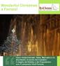 Wonderful Christmas, Cene rinascimentali, fiabe, Mercatini e lo sfavillante incendio del Castello - Ferrara (FE)