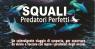 Squali - Predatori Perfetti,  - Torino (TO)