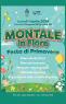 Montale In Fiore, Edizione 2024 - Castelnuovo Rangone (MO)