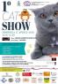 Cat Show A Galliate, 1^ Edizione - Galliate (NO)