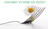 Un Fiore Nel Piatto, Concorso Gastronomico - Darfo Boario Terme (BS)