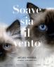 Personale Di Arturo Herrera, Soave Sia Il Vento - Torino (TO)