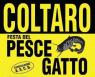 Festa Del Pescegatto, Edizione 2019 - Sissa Trecasali (PR)
