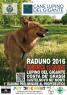 Cane Lupino Del Gigante, 2° Raduno - Castelnovo Ne' Monti (RE)