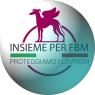 Insieme Per Fbm, Io Sto Con I Levrieri! - Verona (VR)
