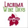 Lacrima Wine Days, 2^ Edizione - Morro D'alba (AN)