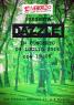 Dazzle Live Concert, Musica Rock Dal Vivo All'artecultura - Firenze (FI)