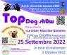Expo Cinofila Amatoriale A Ferrara, 9° Edizione: Top  Dog  Show - Ferrara (FE)