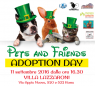 Pets And Friends, Adoption Day - Roma (RM)
