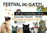 Festival Dei Gatti, Edizione 2016 - Vigolzone (PC)