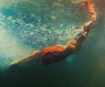 Personale Di Eric Zener, Waterscape - Torino (TO)