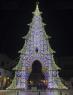 Natale A Bari Con Amgas, Solidarietà E Spettacoli Sotto L'albero - Bari (BA)