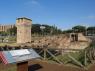 La Nuova Area Archeologica Del Circo Massimo, Visita Guidata Con Archeologo - Roma (RM)