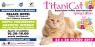 Titanicat Spring Edition, Esposizione Felina Internazionale -  ()