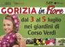Gorizia In Fiore, Fra Ortensie, Gardenie E Aceri Tricolori - Gorizia (GO)