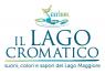 Il Lago Cromatico, 3^ Edizione - 2017 -  (VA)