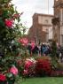 Faenza C’entro In Fiore, Evento Annullato! - Faenza (RA)