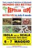 Reptilia Expo - L'affascinante Mondo Dei Rettili - Isola Della Scala , Rettili Vivi Da Tutto Il Mondo Per La Prima Volta A Verona  - Isola Della Scala (VR)