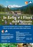 Le Erbe E I Fiori Della Valzurio, Un’escursione Botanica Per Scoprire E Degustare I Fiori E Le Erbe Selvatiche - Oltressenda Alta (BG)